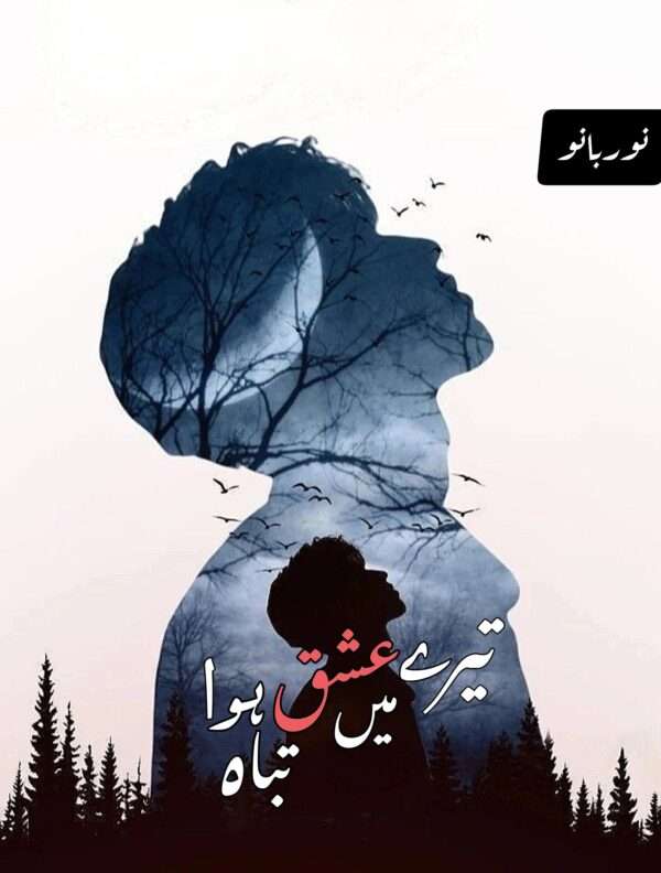 Tere Ishq me Tabah Hua | Hard Cover | by Noor Bano - Image 2