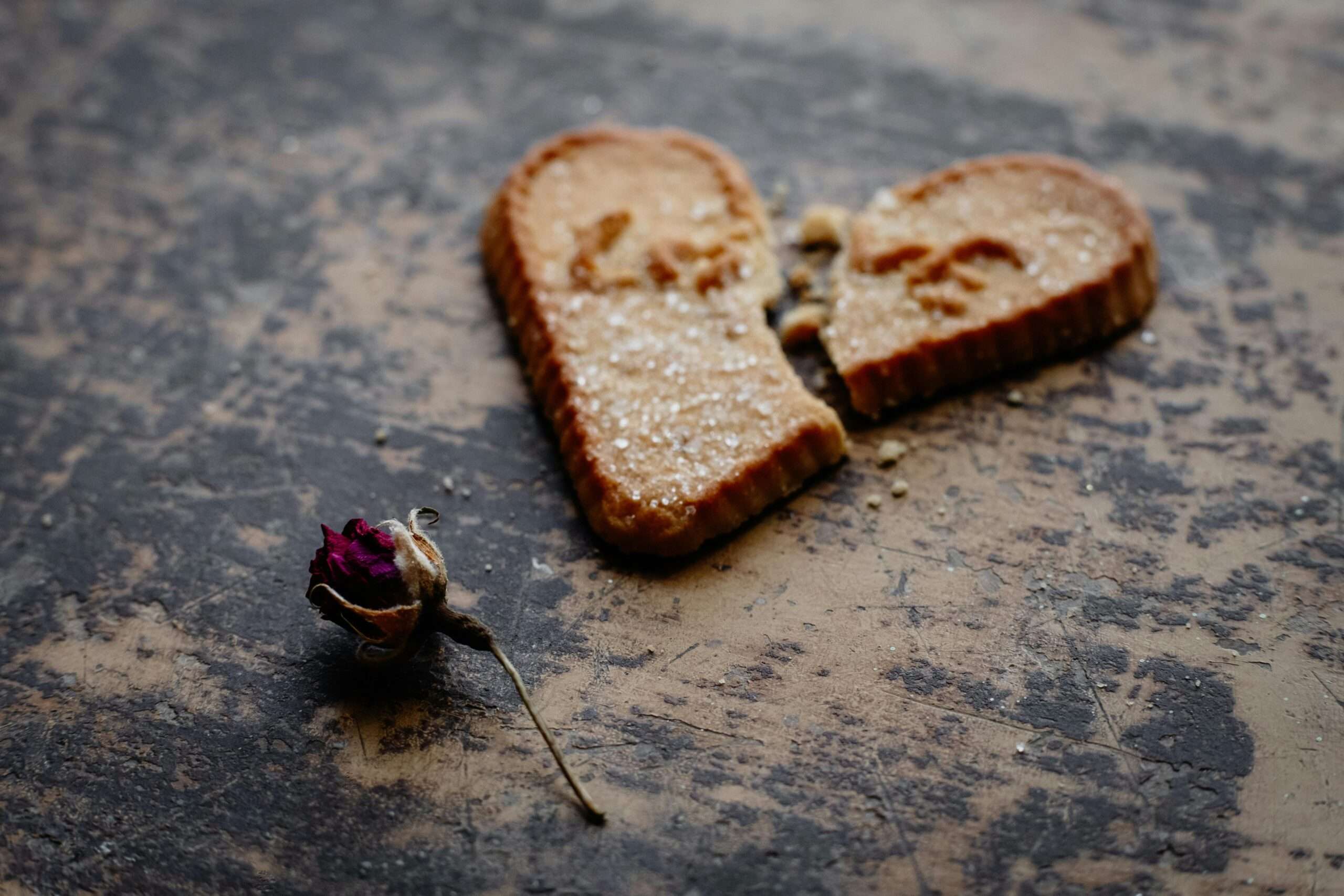 Broken heart-shaped cookie with a dry rose symbolizes love and heartbreak.